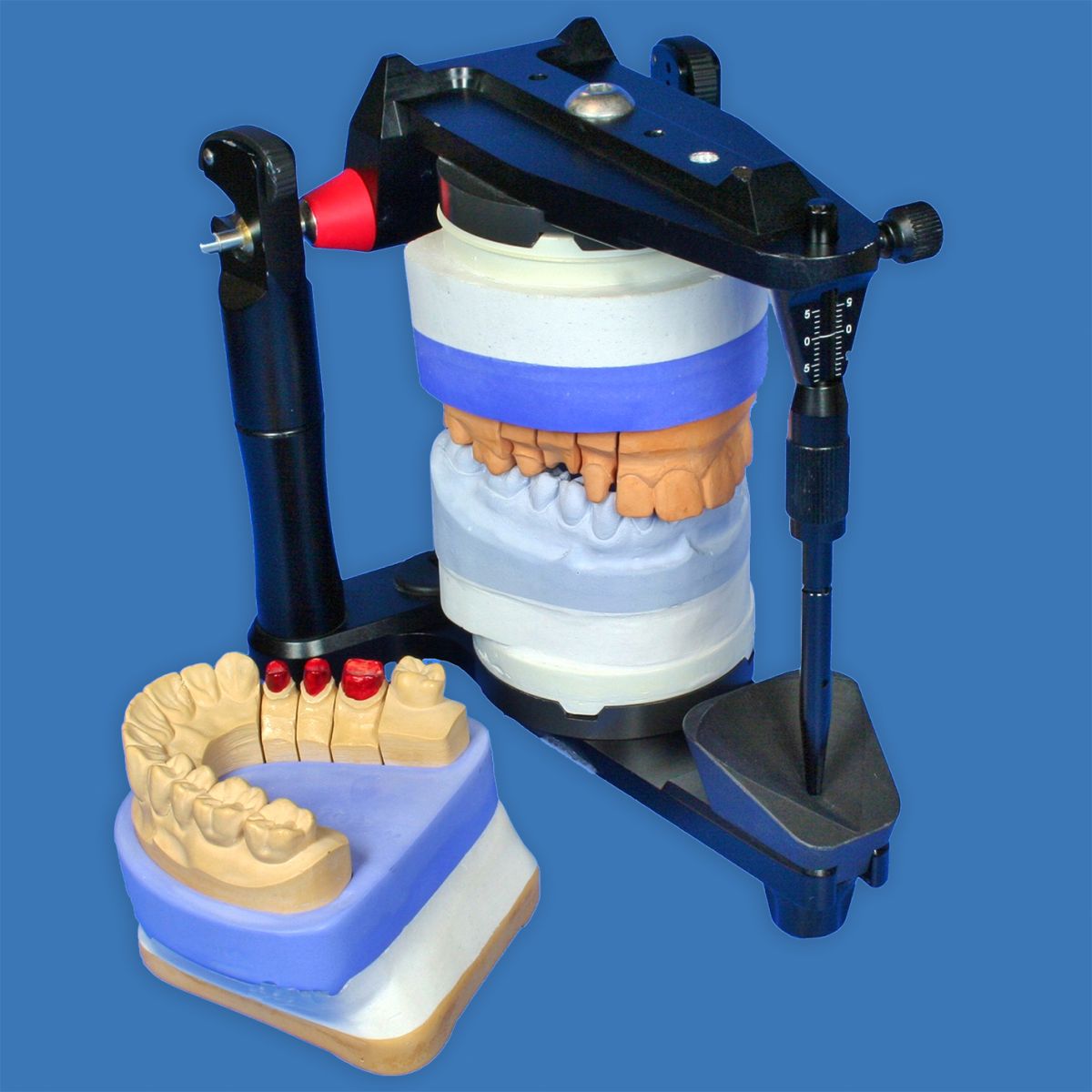 Dr. Kühns® Spezialgips rosa 25kg in dentalem Artikulator.