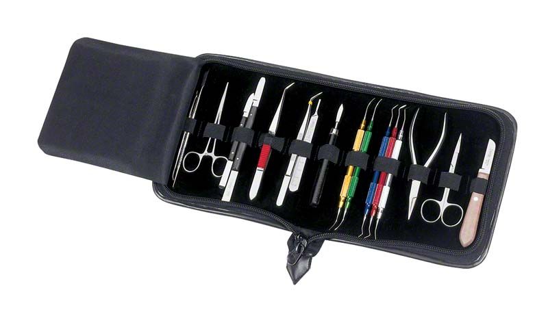 Laborset 17-teilig von Carl Martin mit Dentalinstrumenten in schwarzem Etui.