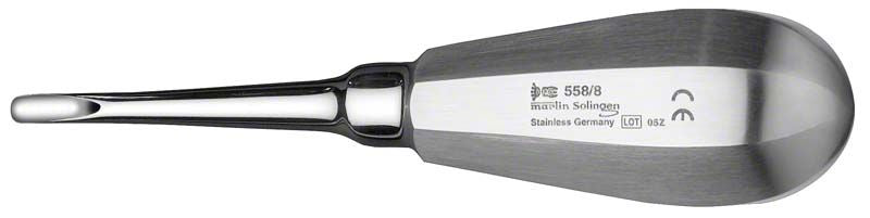 Zahnwurzelheber Figur 558/8, 4,5 mm breit, Edelstahlgriff.