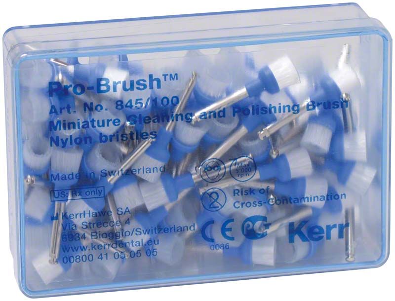 Prophy Bürsten mit blauem Nylonkopf in transparenter Kunststoffbox.