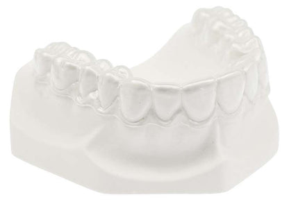 Zahnmodell aus COPYPLAST® C 1,0mm mit detaillierter Zahndarstellung.