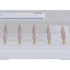 EVE DIACOMP® plus Vorpolitur - Flamme DCP1m , 10er