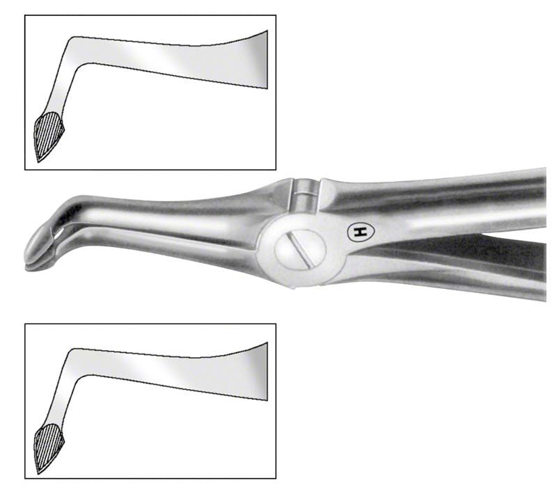 Spezial-Zahnzange Figur 49 für UK Wurzeln in Nahaufnahme.