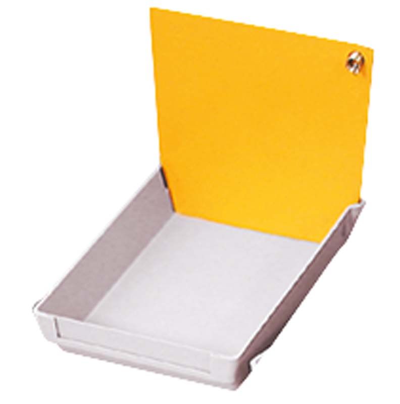 ERGOspace Rückenplatte in Safrangelb in Modellkasten eingesetzt.