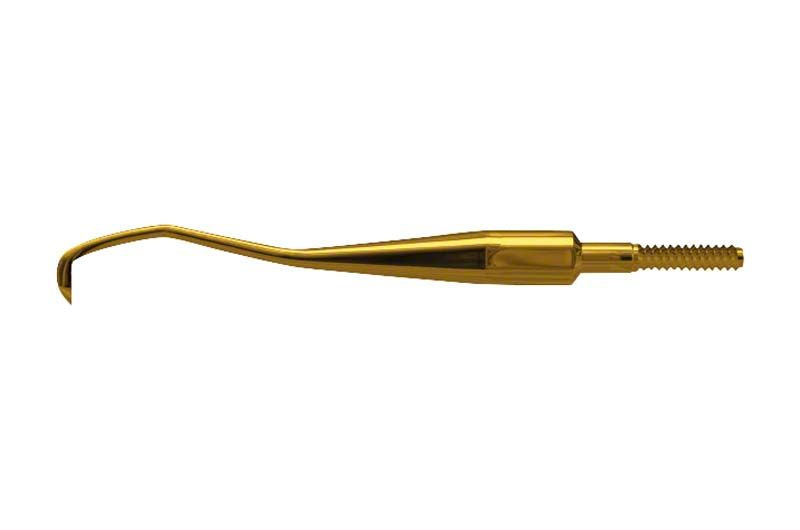 Amerikanischer Eagle XP Scaler Quik-Tip Eagle Talon™, anterior, in Goldansicht.