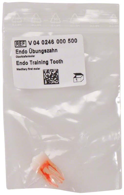 Endo Übungszahn in transparenter Verpackung mit Etikett.