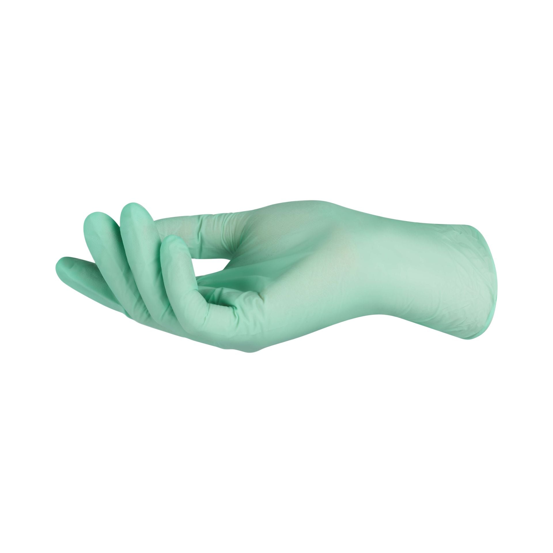 Grüner Nitril-Einmalhandschuh Viawant Green Star, Größe L, auf weißem Hintergrund.