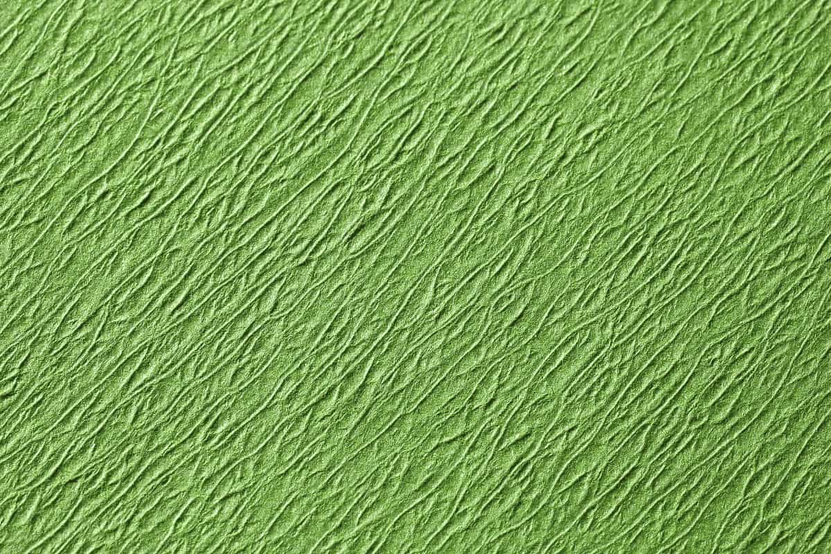 Grüne Zellstoff-Oberfläche des Norm Traypapiers in Nahaufnahme.