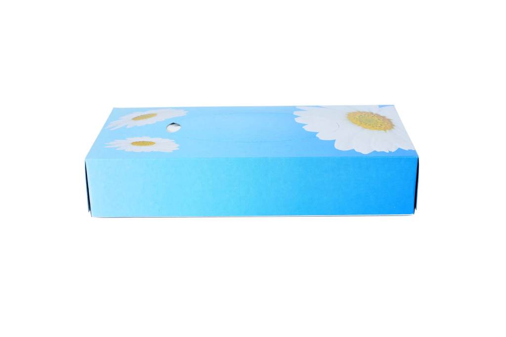 Blaue Spenderbox mit Blumenmotiv für 2-lagige Kosmetiktücher.